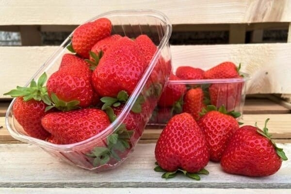 Fragole - 250g