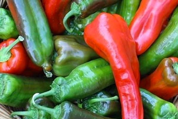 Peperoni Corno - 500g
