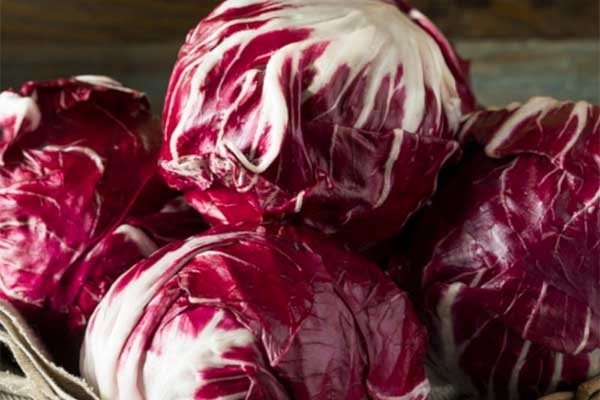 Radicchio - 500g