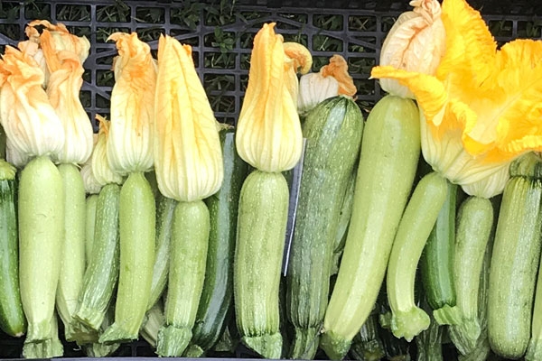 Zucchine - 500g